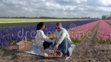 荷兰的春花季节，一对夫妇在春季与风信子在荷兰的灯泡地区野餐